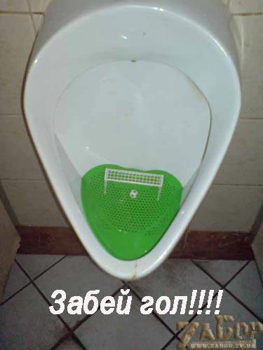 ����-��������