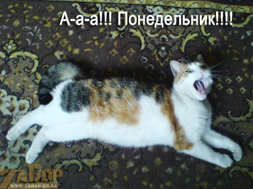 �����������!!!