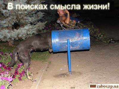 ����-��������: � �������