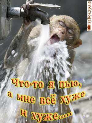 ����-��������: ������